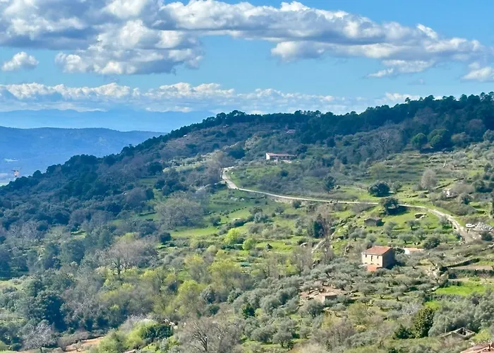 Casa Artista
