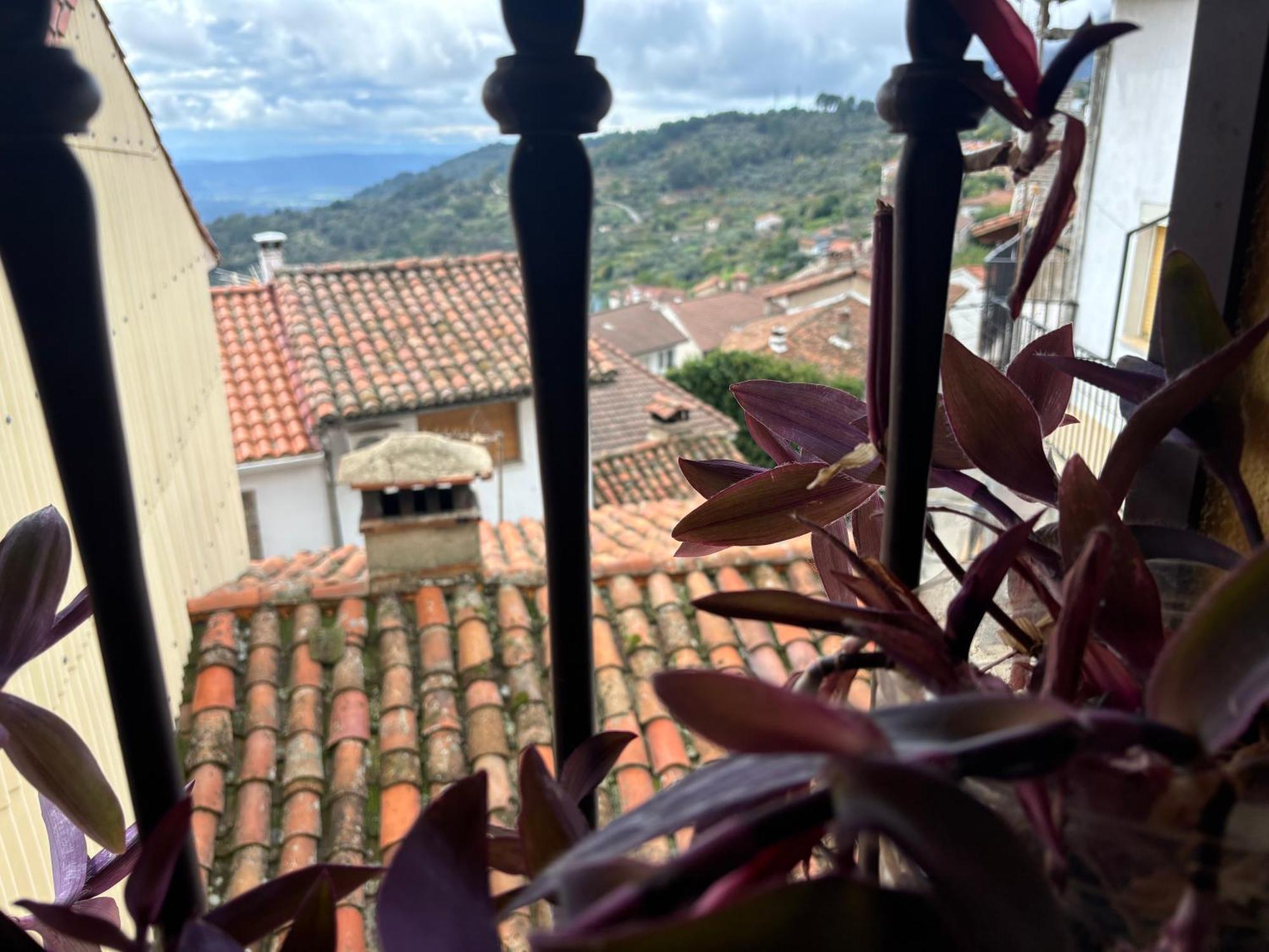 Casa Artista Casa vacanze *